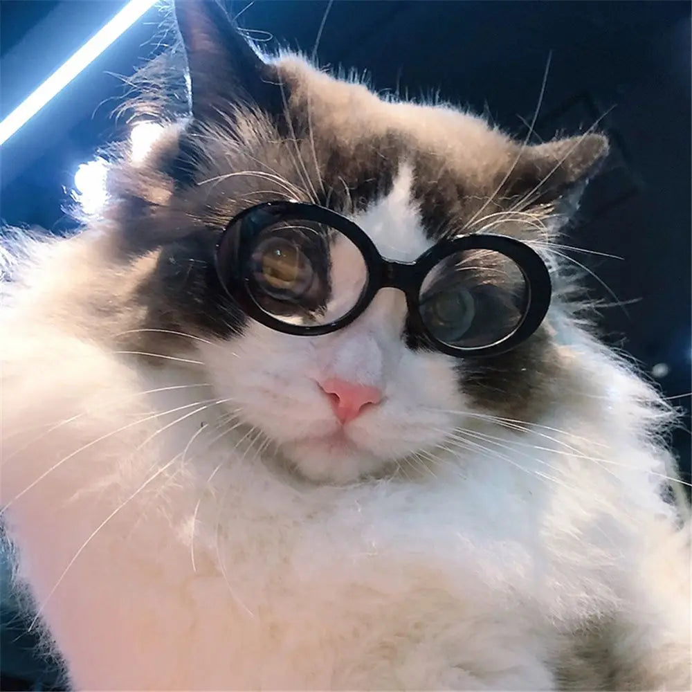 Cat Glasses Cool Pet Small Dog Fashion Oval Sun Glasses Pet Product For Little Dog Cat Sunglasses Pet Photography Accessories