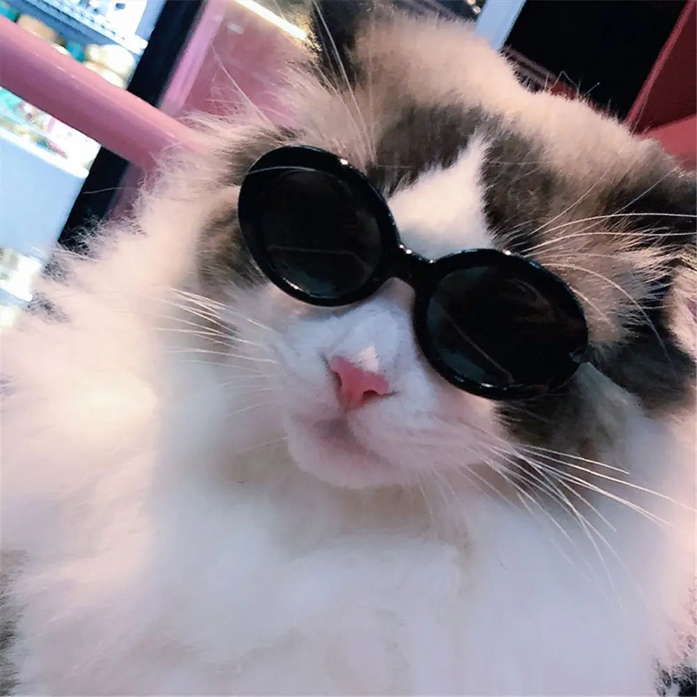 Cat Glasses Cool Pet Small Dog Fashion Oval Sun Glasses Pet Product For Little Dog Cat Sunglasses Pet Photography Accessories