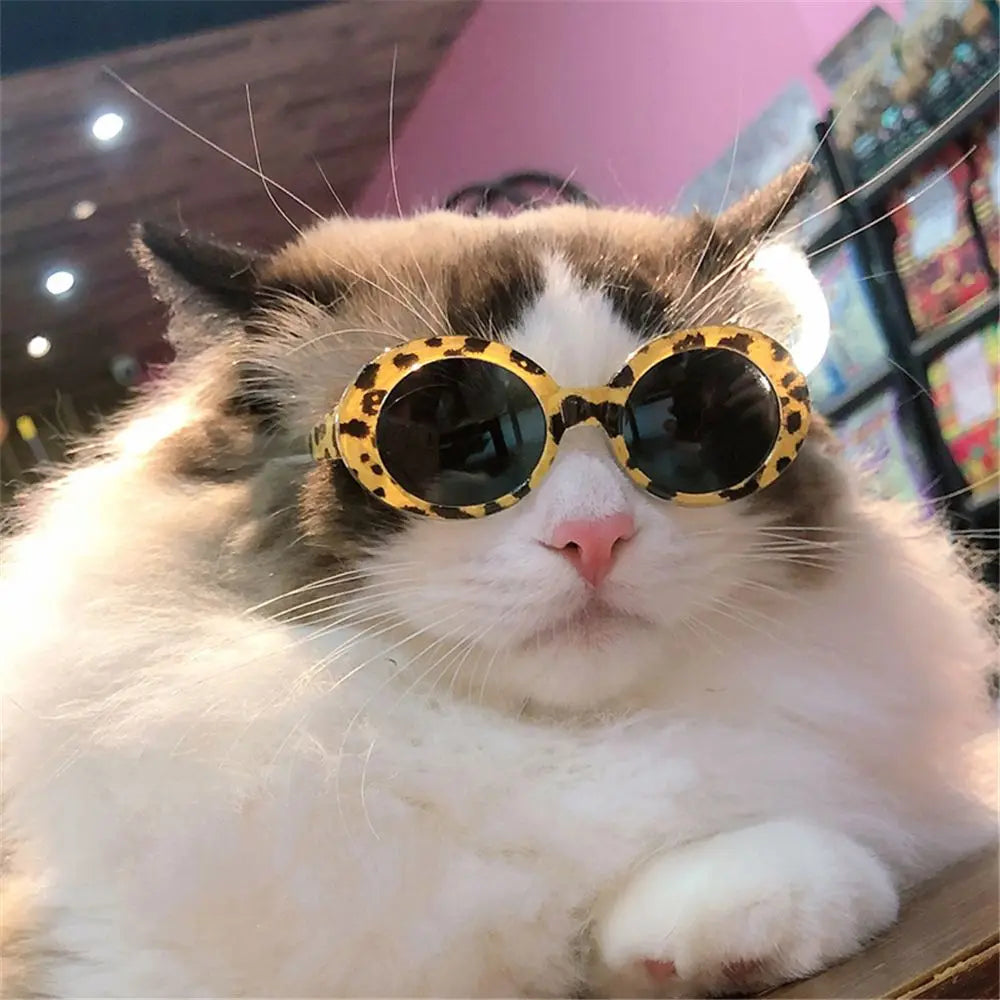 Cat Glasses Cool Pet Small Dog Fashion Oval Sun Glasses Pet Product For Little Dog Cat Sunglasses Pet Photography Accessories