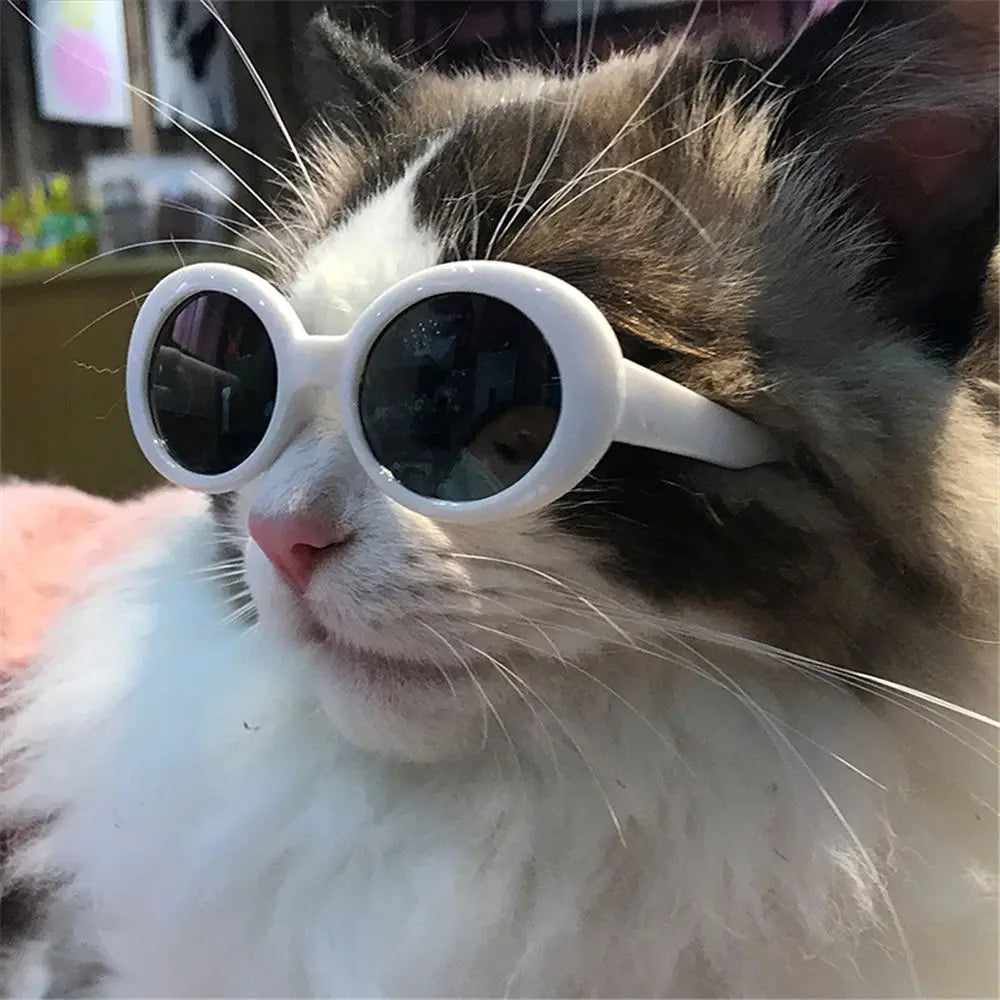 Cat Glasses Cool Pet Small Dog Fashion Oval Sun Glasses Pet Product For Little Dog Cat Sunglasses Pet Photography Accessories