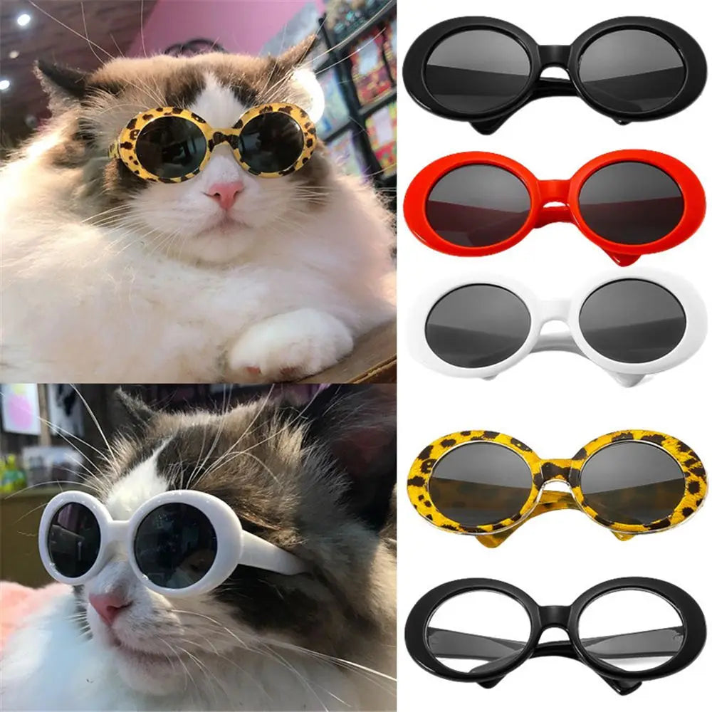 Cat Glasses Cool Pet Small Dog Fashion Oval Sun Glasses Pet Product For Little Dog Cat Sunglasses Pet Photography Accessories